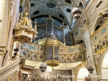 Renovation of the Organ from the Chapel of the Miraculous Icon!